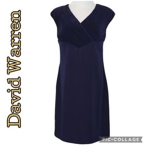 DW3 Dress V-Neck Purple Formal Party Lined Side Zip Back Slit Sleeveless USA